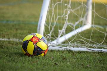 奥地利3-1约旦，斩获世界杯小组赛开门红（配图示意）